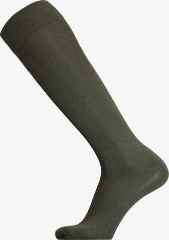 UphillSport Knee High Socks 'KAIHU' in Green: front