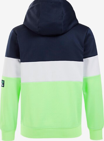 WE Fashion Sweatshirt in Groen