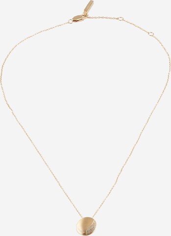 Calvin Klein Necklace in Gold