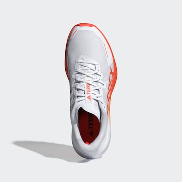 Chaussure de course 'Agravic 3' ADIDAS TERREX en blanc