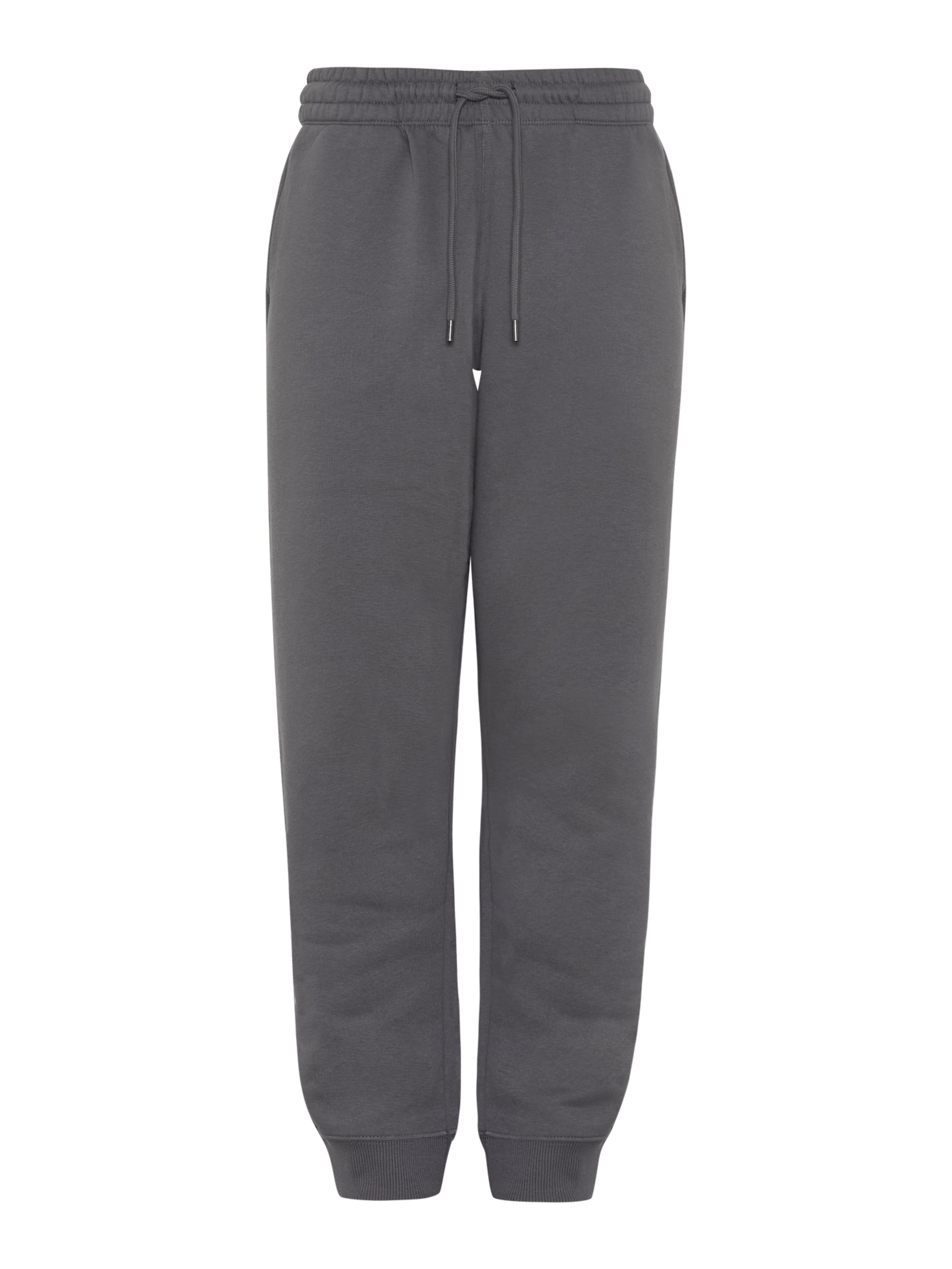 antargo Regular Pants in Grey: front