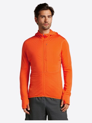 ICEBREAKER Sweatshirt 'Merino 200 mid weight Realfleece Descender' i svart