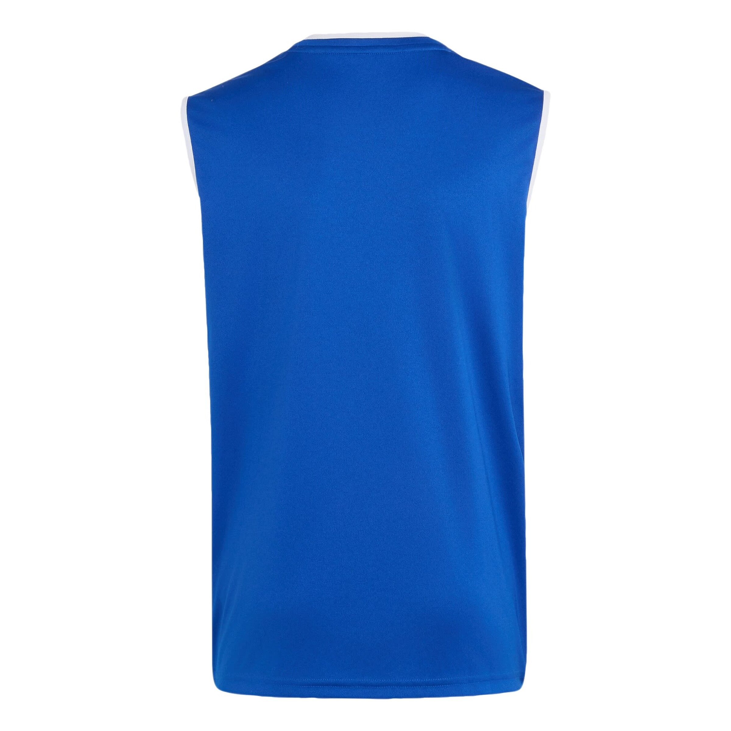 ADIDAS PERFORMANCE Performance shirt 'Entrada26' in Blue