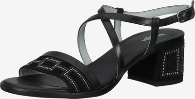 Nero Giardini Sandalen met riem in de kleur Zwart / Zilver, Productweergave