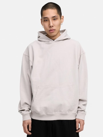 Daily Cotton Sweatshirt 'DCAUSTIN' in Grau: Vorderseite