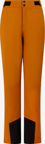 PROTEST Workout Pants 'PRTVoleta' in Brown: front