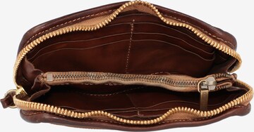 Caterina Lucchi Wallet in Brown