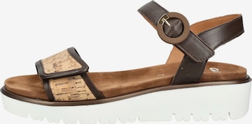 ARA Strap sandal in Brown: front