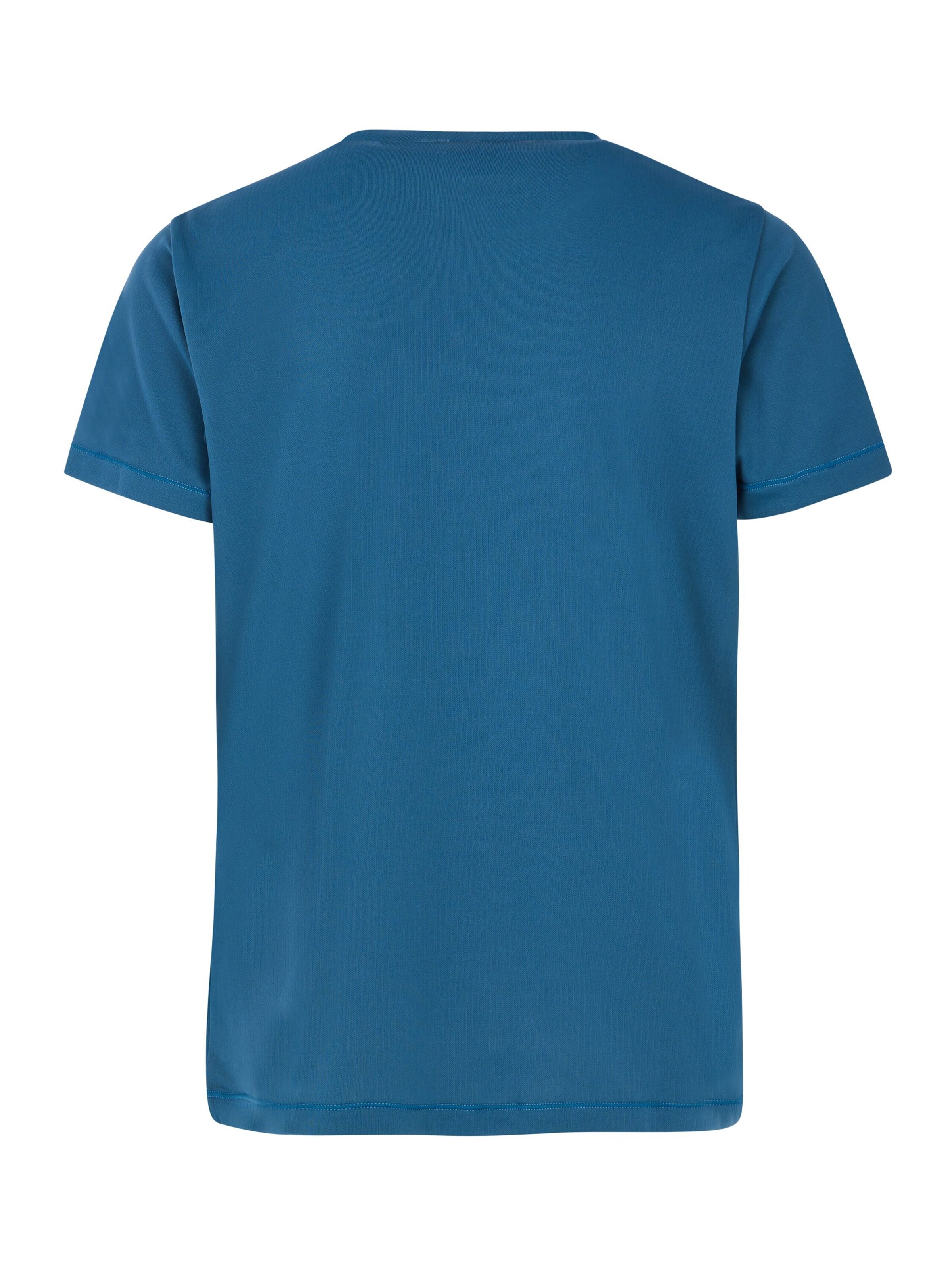 PROTEST Sports swimwear 'PRTRolf JR' in Blue