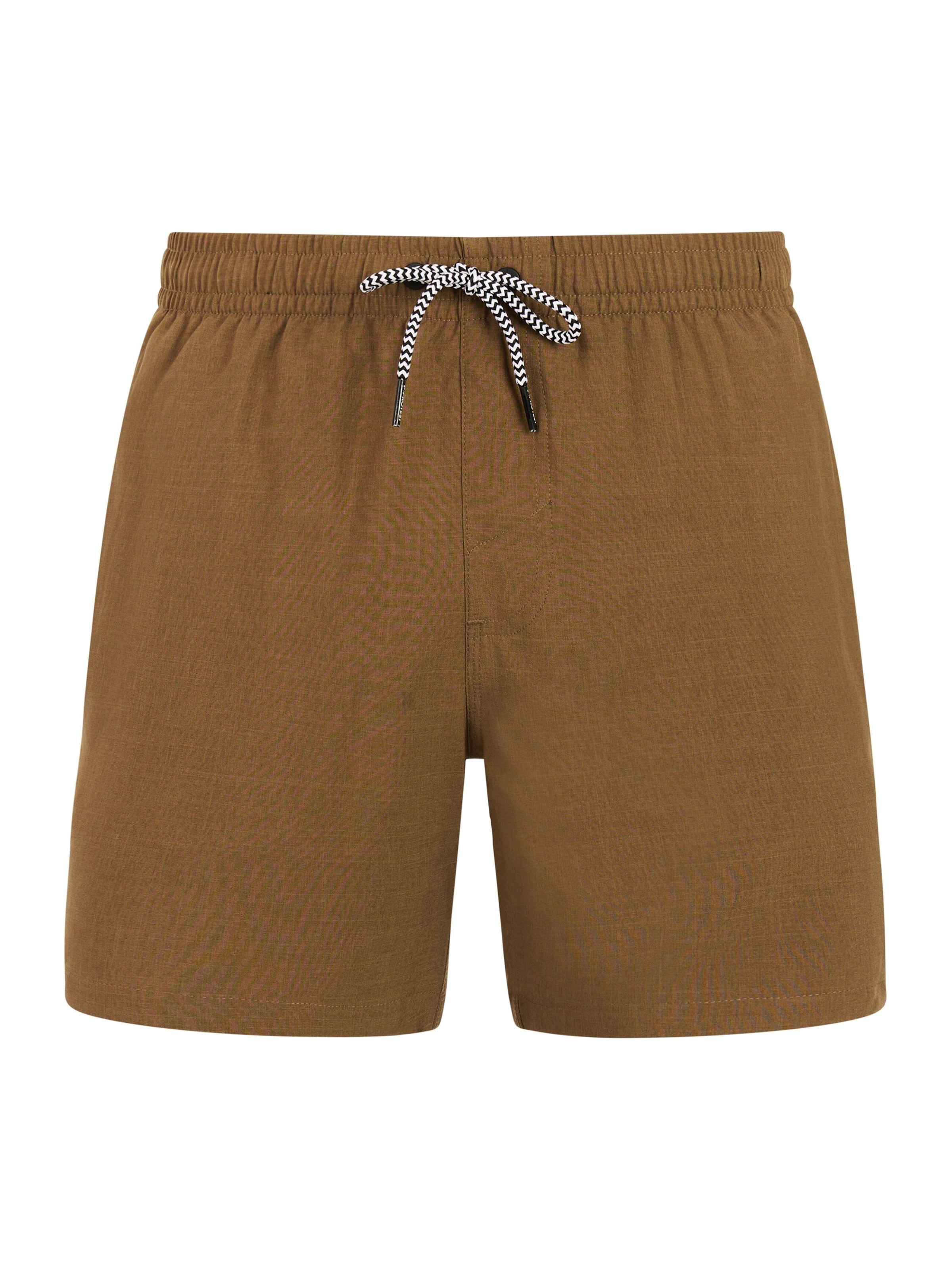 PROTEST Badeshorts 'Davey' in Braun: Vorderseite