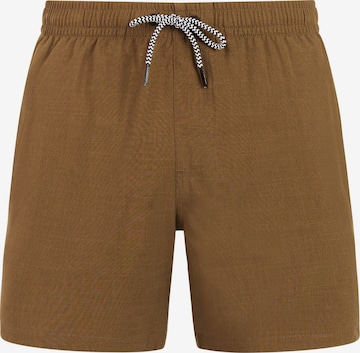 PROTEST Badeshorts 'Davey' in Braun: Vorderseite