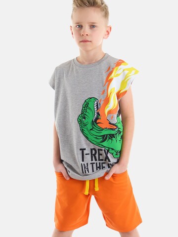 Denokids Tracksuit 'T-Rex Flame' in Grey: front