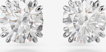 Swarovski Korvakoru 'Stilla' värissä valkoinen: etupuoli