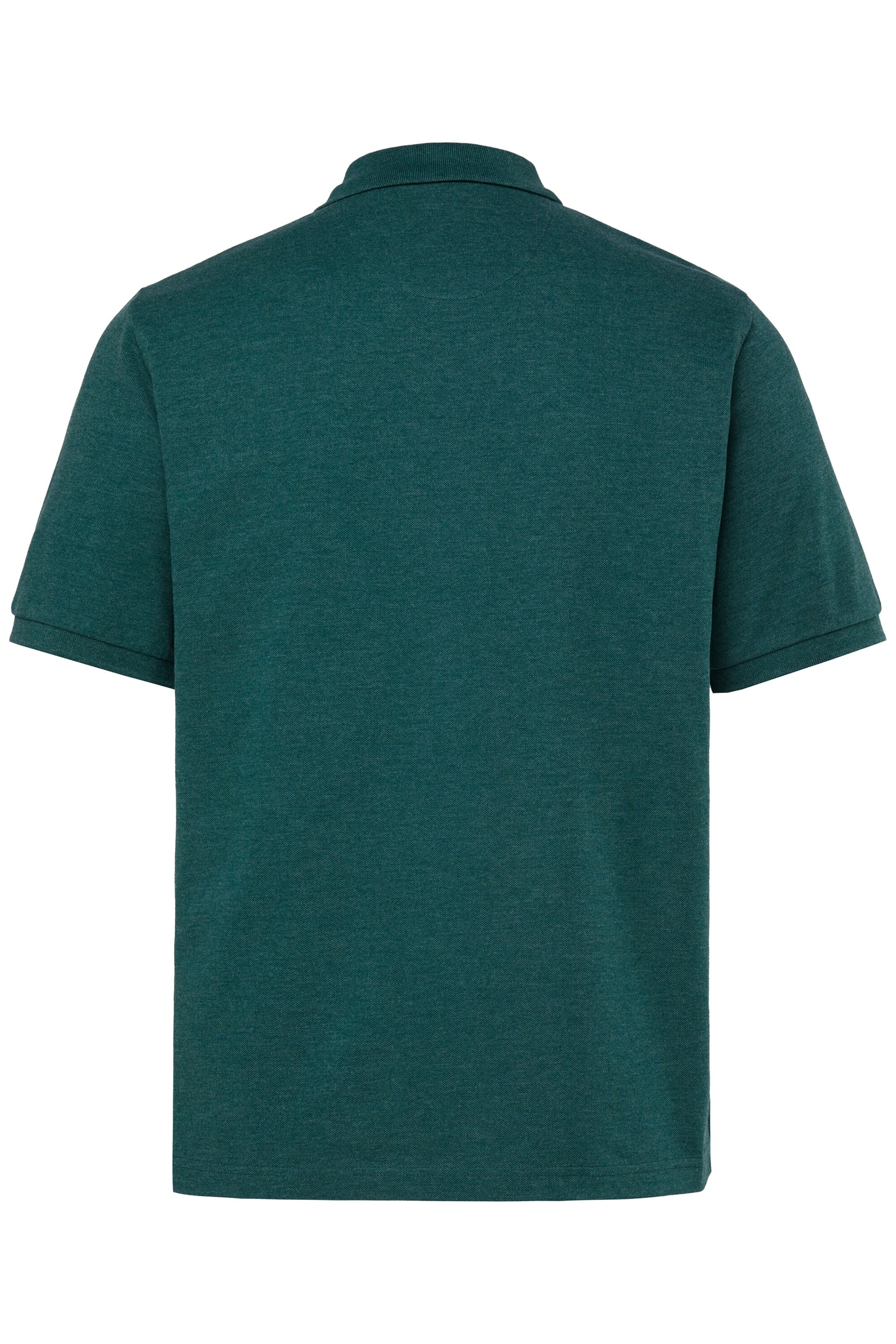 Men Plus Shirt in Green