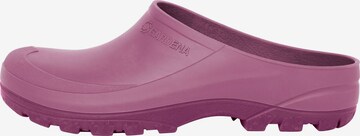 Gardena Clogs in Pink: predná strana