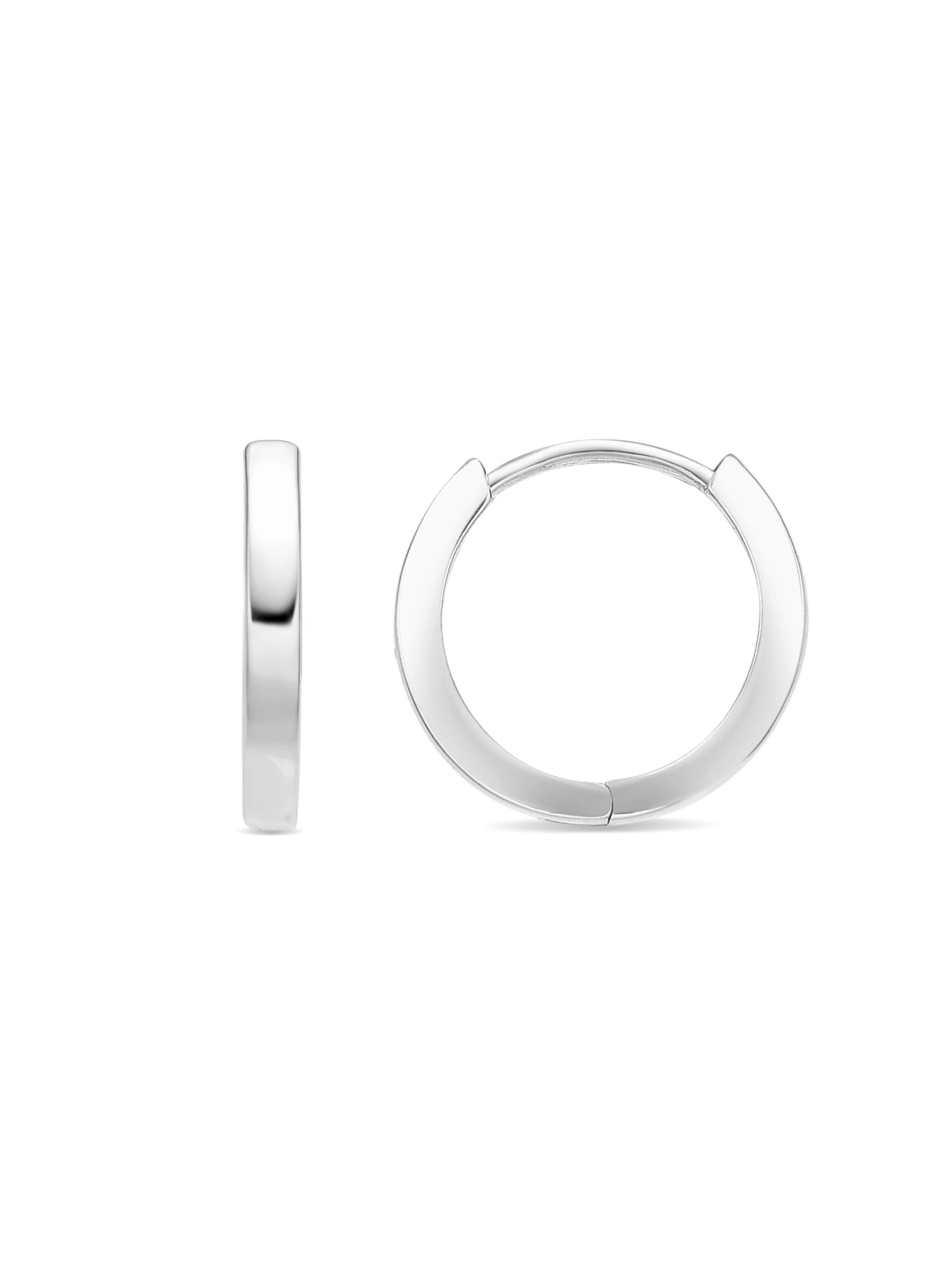 Luxenter Earrings 'Erespa' in Silver: front