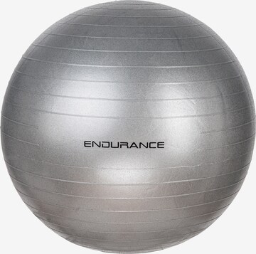 ENDURANCE Bal in Zilver: voorkant