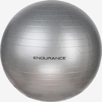 ENDURANCE Ball in Silber: predná strana