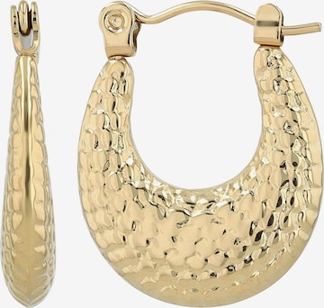 Akzent Earrings 'langlebig' in Gold: front