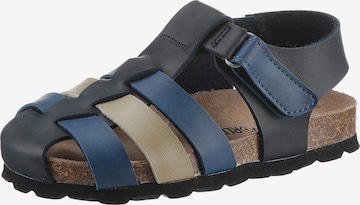 Kidsworld Sandals & Slippers in Blue: front