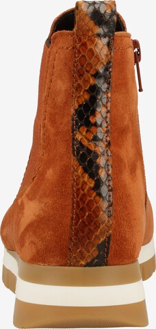 GABOR Chelsea boots in Bruin