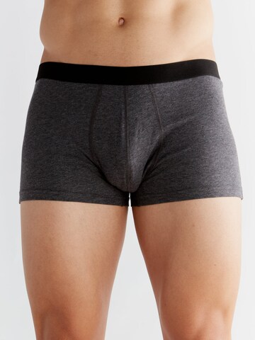 Albero Natur Boxer shorts 'Herren Trunkshorts aus Bio-Baumwolle' in Grey