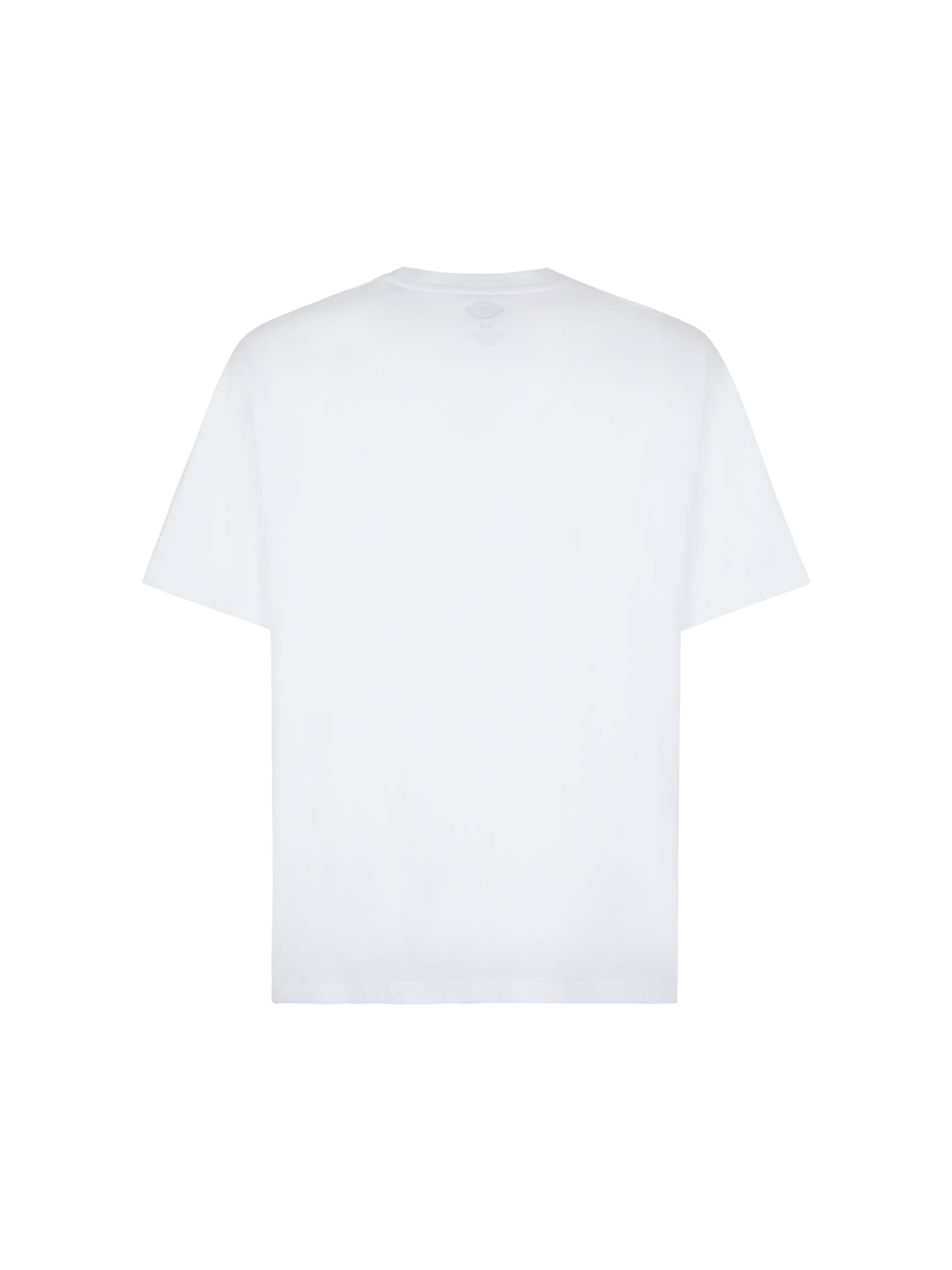 DICKIES Μπλουζάκι 'ENTERPRISE' σε λευκό