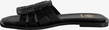 Desa Mule in Black: front