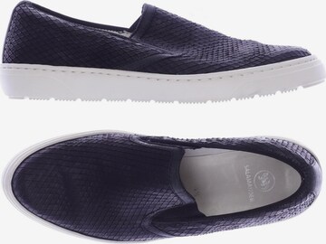 SALAMANDER Flats & Loafers in 37,5 in Black: front