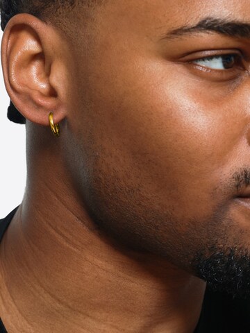 Boucles d'oreilles 'Lasse' Heideman en or