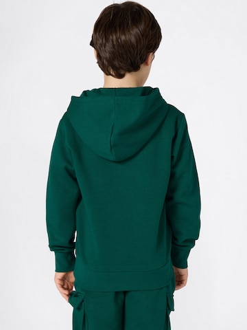 Champion Authentic Athletic Apparel Mikina – zelená