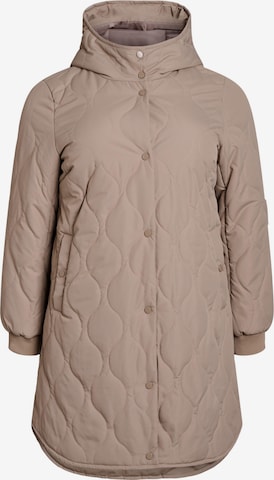 ruda Zizzi Žieminė striukė: priekis