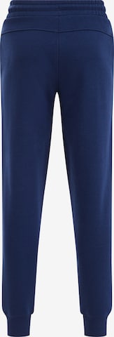 WE Fashion Tapered Hose in Blau