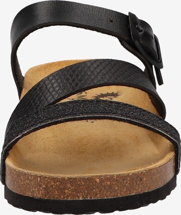 COSMOS COMFORT Mules in Black