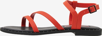 Pepe Jeans Strap Sandals 'HAYES JUICE' in Red: front