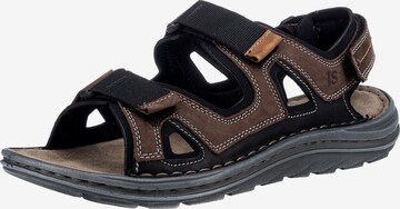 JOSEF SEIBEL Sandals 'Raul 20' in Brown: front