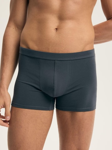 ESOTIQ Boxershorts 'Boxershorts Doppelpack aus Baumwolle Mix Atmungsaktiv bequem Aegis' in Gemengde kleuren