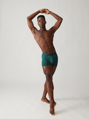 ARMEDANGELS Boxer shorts ' RICAARD ' in Green