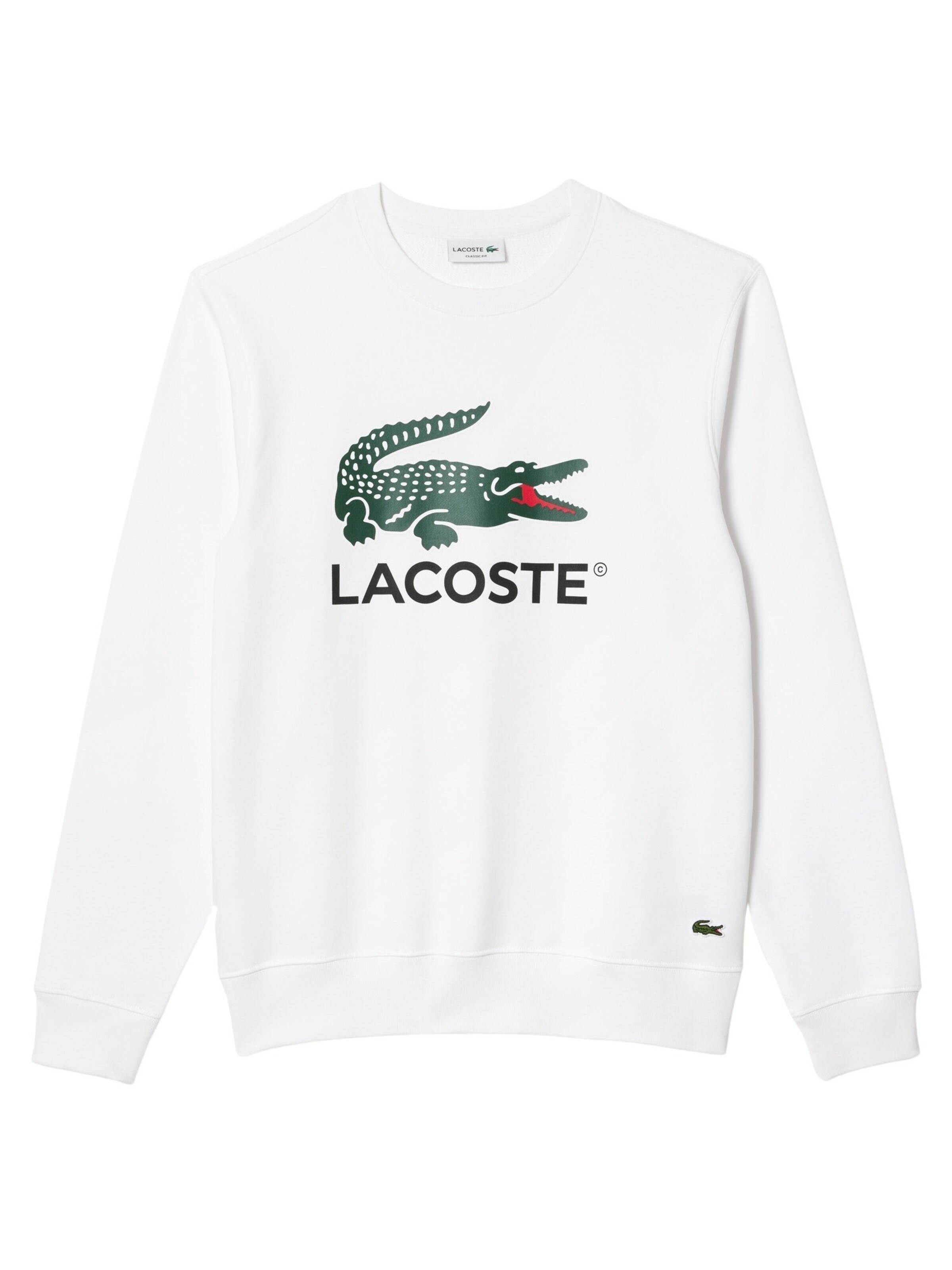 LACOSTE Свитшот в Белый: спереди