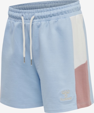 Hummel Regular Sportbroek 'CALIDA' in Blauw