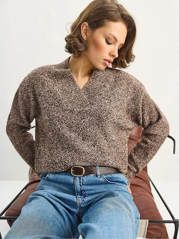 Bianco LucciPulover 'Pullover' - smeđa boja