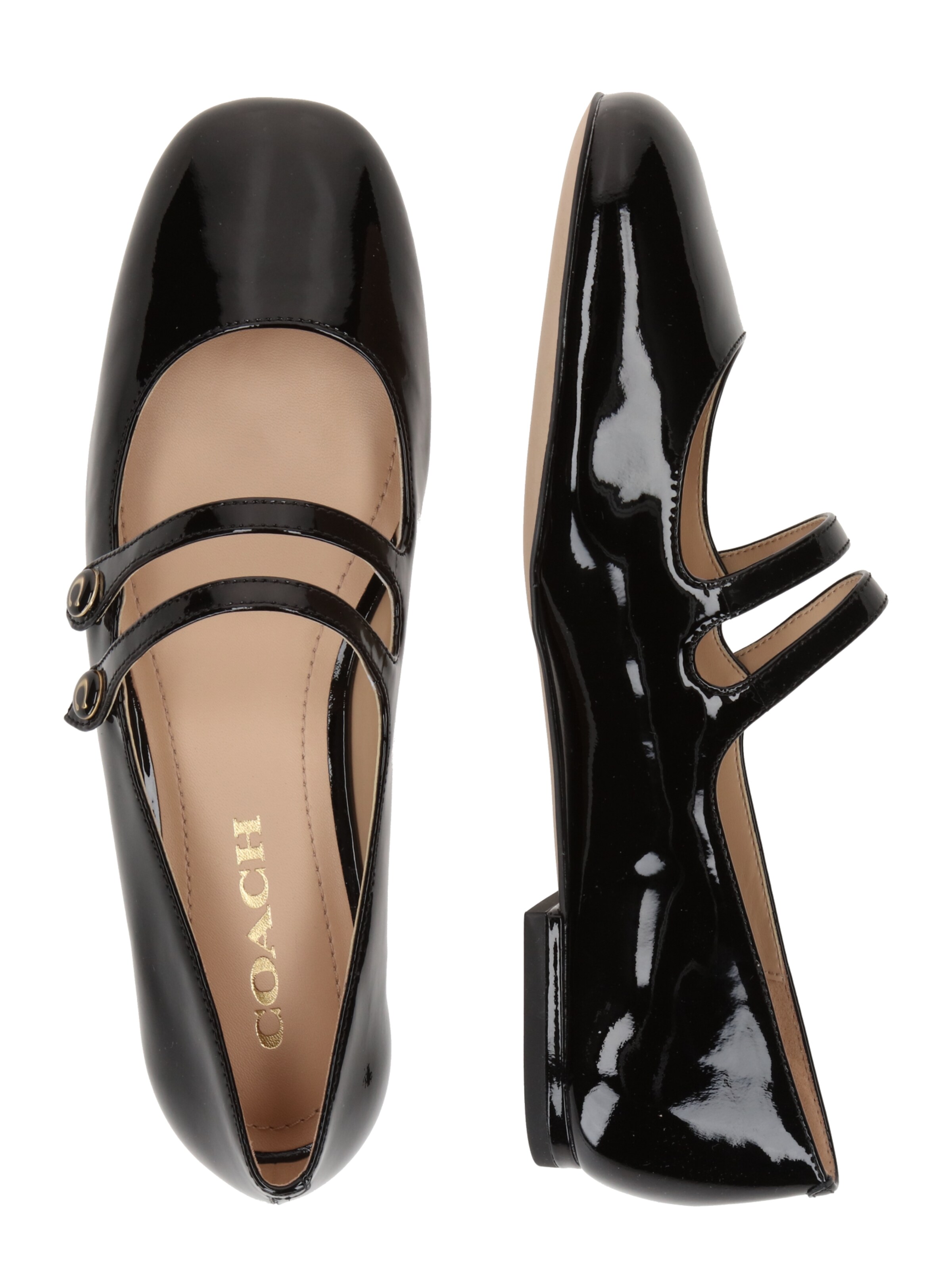 Ballerines à lanières COACH en noir