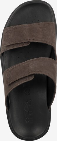 GEOX Mules 'Xand' in Brown