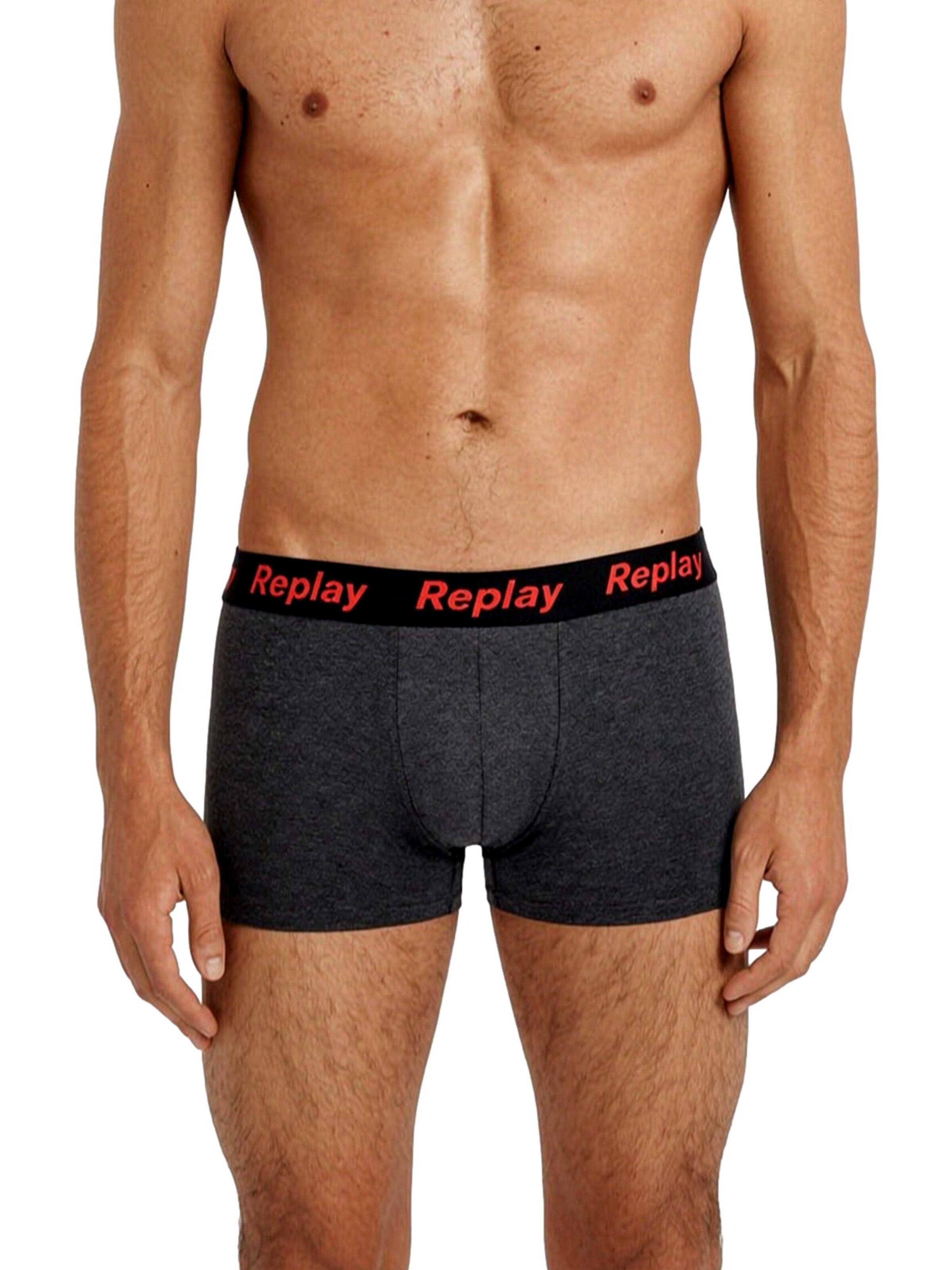 Boxer di REPLAY in grigio