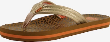 REEF Beach & Pool Shoes 'Ahi' in Gold: front