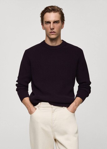 MANGO MAN Sweater 'Desio' in Purple: front