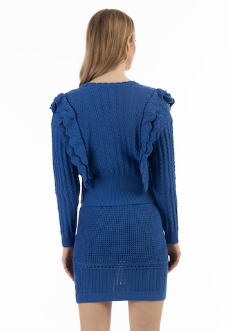 faina Gebreid vest in Blauw