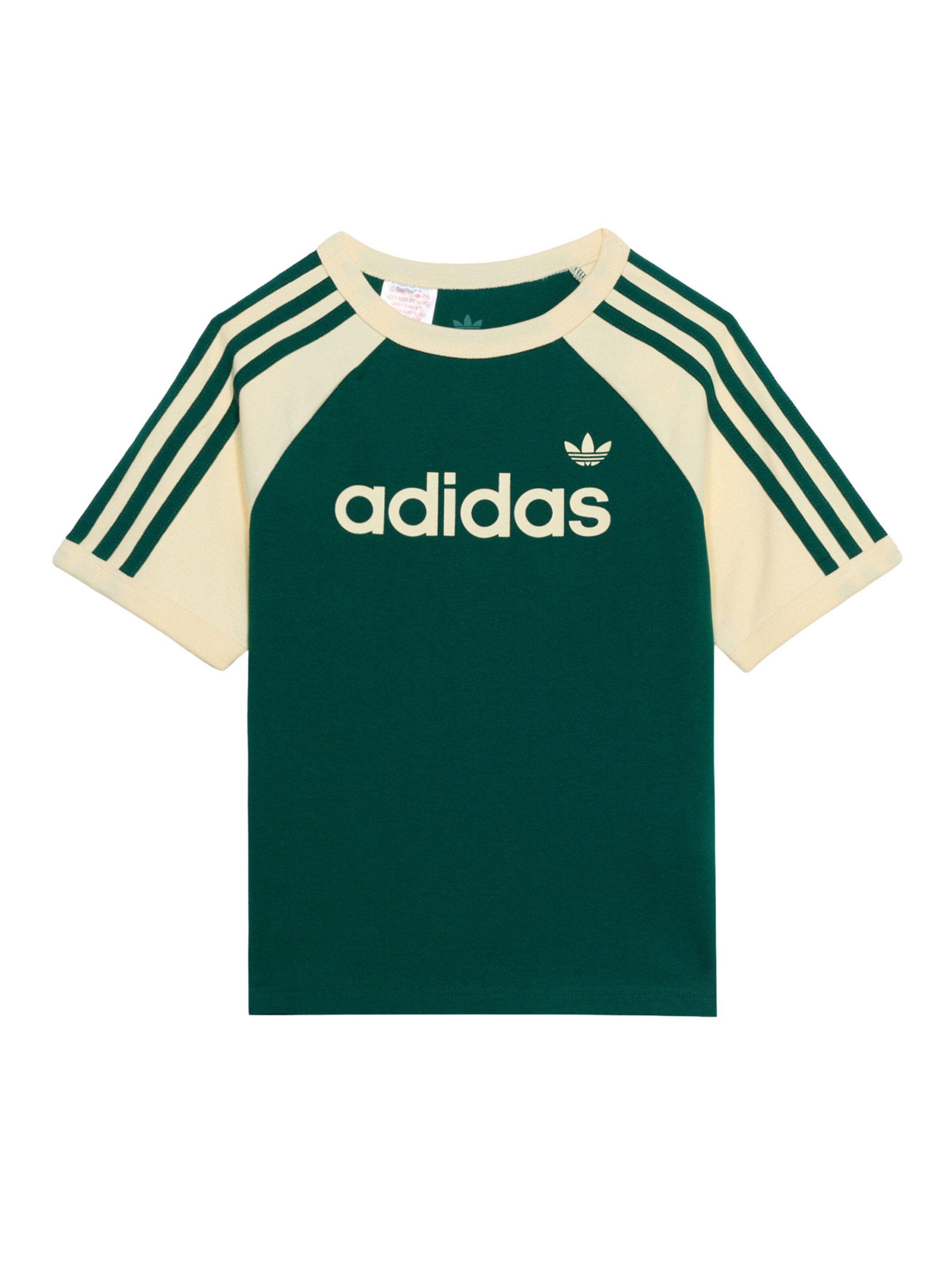 ADIDAS ORIGINALS Shirt in Groen: voorkant