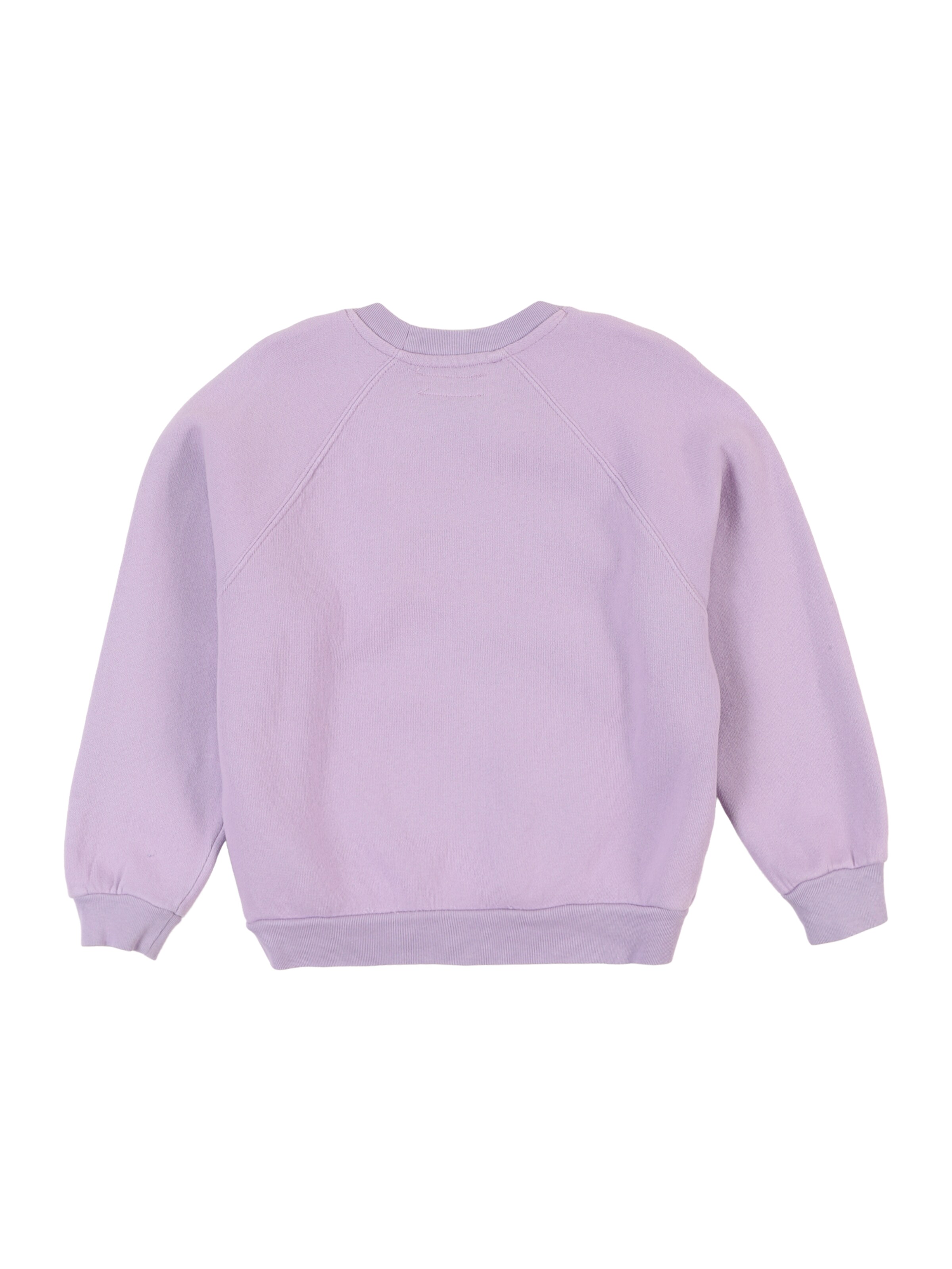 AMERICAN VINTAGE Свитшот 'IZUBIRD' в Лиловый