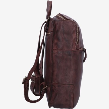 Harold's Rucksack in Braun